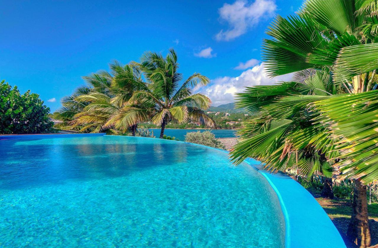473 Grenada Boutique Resort セントジョージズ エクステリア 写真