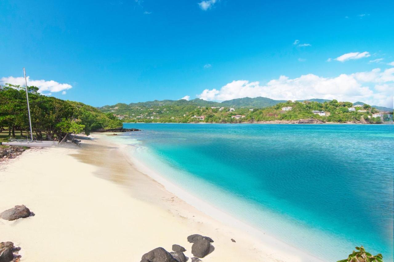 473 Grenada Boutique Resort セントジョージズ エクステリア 写真