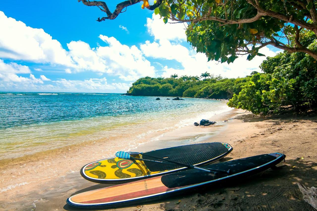 473 Grenada Boutique Resort セントジョージズ エクステリア 写真