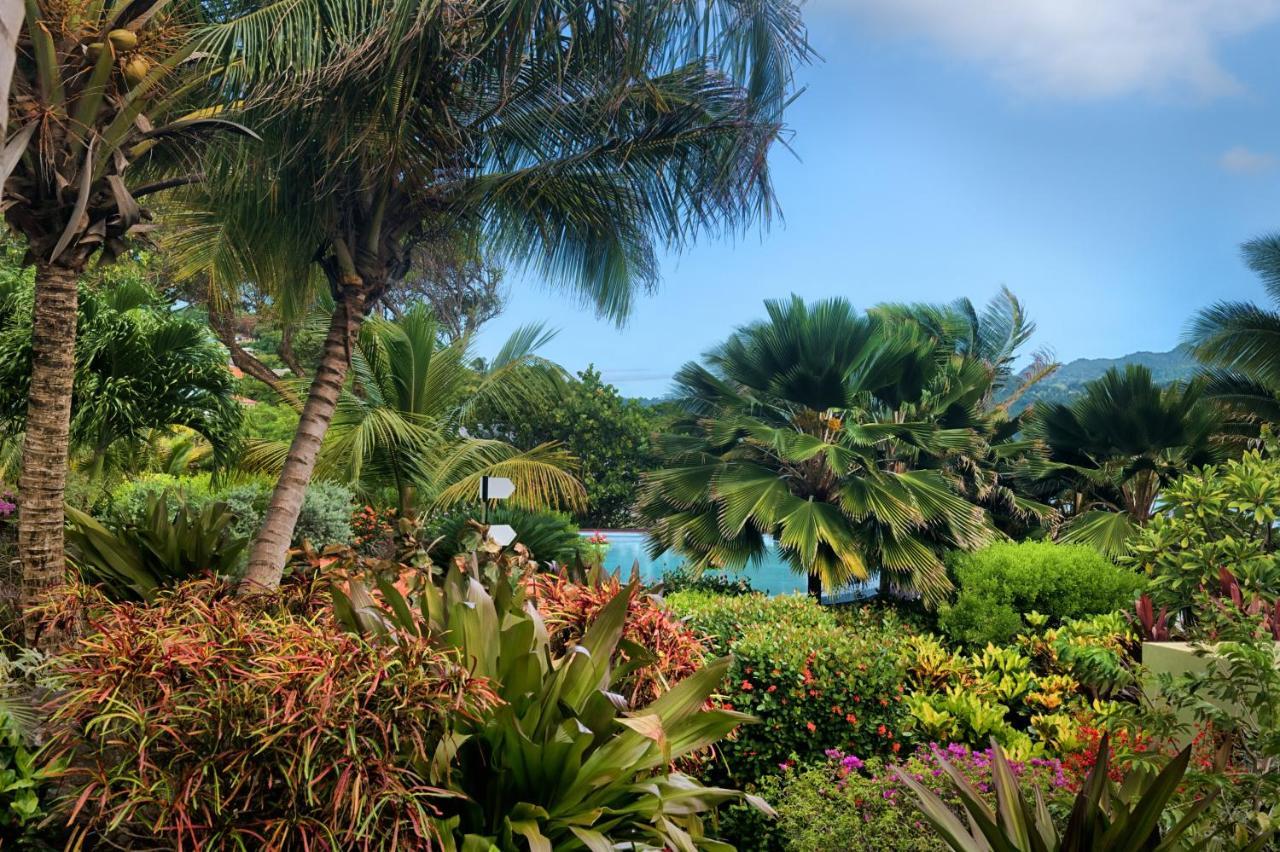473 Grenada Boutique Resort セントジョージズ エクステリア 写真