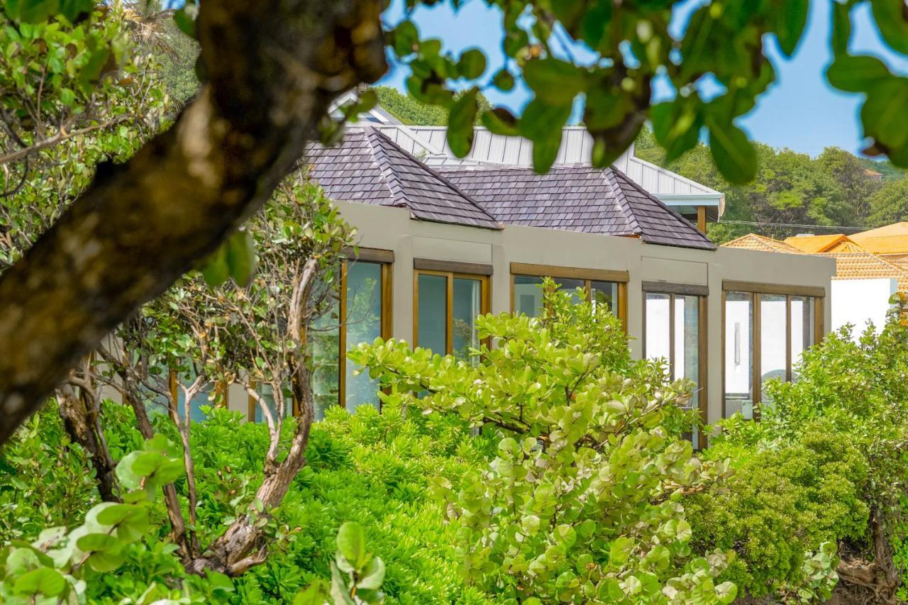 473 Grenada Boutique Resort セントジョージズ エクステリア 写真